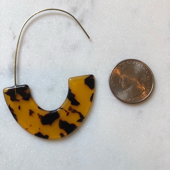 NWOT Caramel Tortoise Earring - Picture 3 of 4